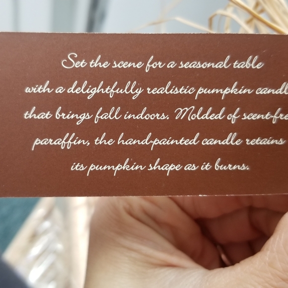 Williams Sonoma Hand Painted Pumpkin Shaped Candle - Picture 4 of 7